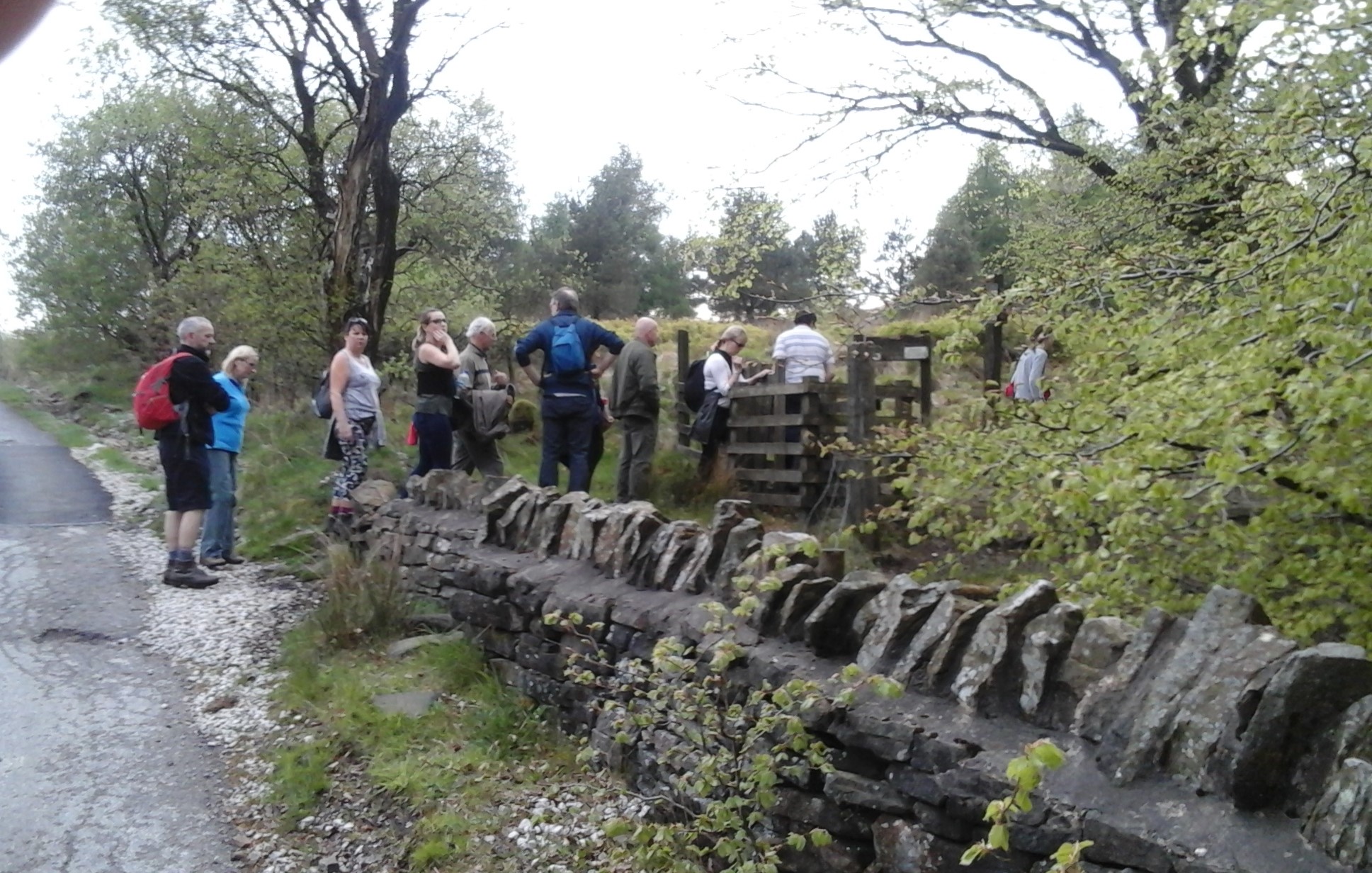 Coal Pit Lane Smithills Moor